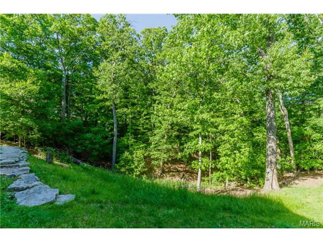 10 Hawk Forest Ct, Defiance, MO 63341 photo 37