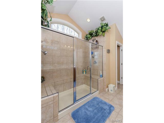 10 Hawk Forest Ct, Defiance, MO 63341 photo 19