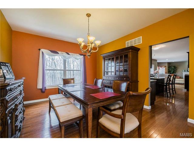 1032 Stone Spring Ct, Eureka, MO 63025 photo 41