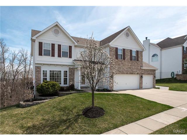 1032 Stone Spring Ct, Eureka, MO 63025 photo 32