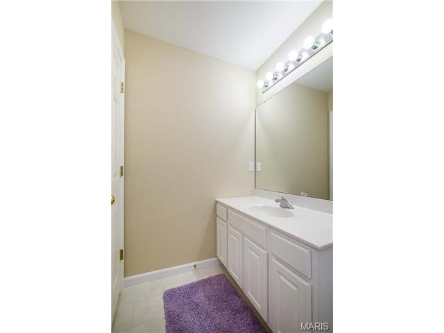 1032 Stone Spring Ct, Eureka, MO 63025 photo 59