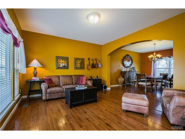 1032 Stone Spring Ct, Eureka, MO 63025 photo 42