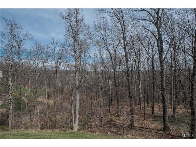 1032 Stone Spring Ct, Eureka, MO 63025 photo 72
