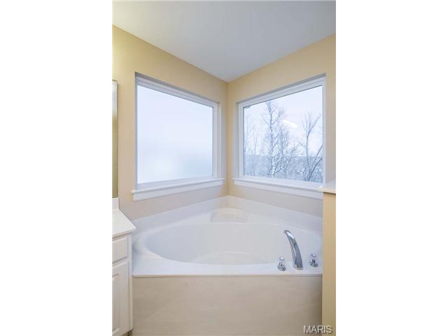 1032 Stone Spring Ct, Eureka, MO 63025 photo 56