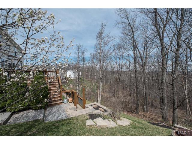 1032 Stone Spring Ct, Eureka, MO 63025 photo 69