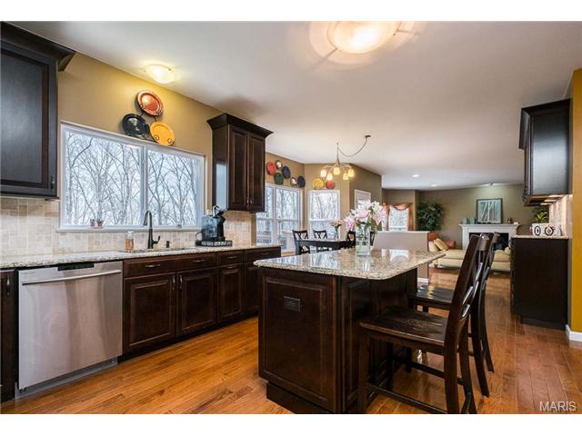 1032 Stone Spring Ct, Eureka, MO 63025 photo 37