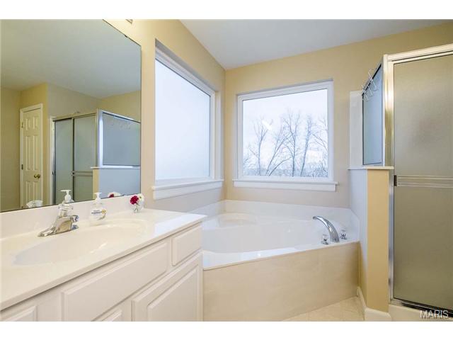 1032 Stone Spring Ct, Eureka, MO 63025 photo 55