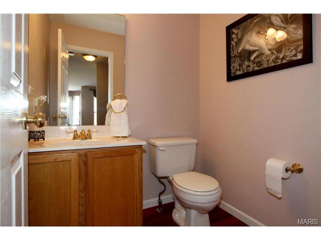 380 Buckhurst Dr, Ballwin, MO 63021 photo 12