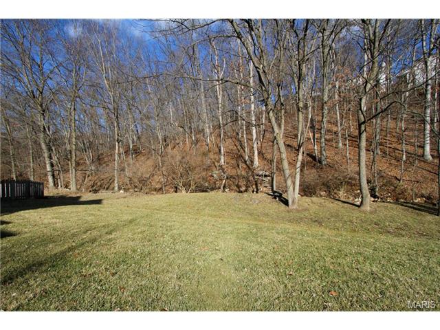 380 Buckhurst Dr, Ballwin, MO 63021 photo 24