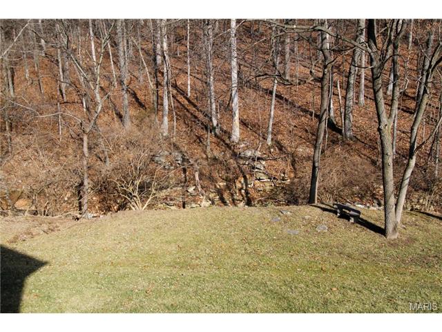 380 Buckhurst Dr, Ballwin, MO 63021 photo 23