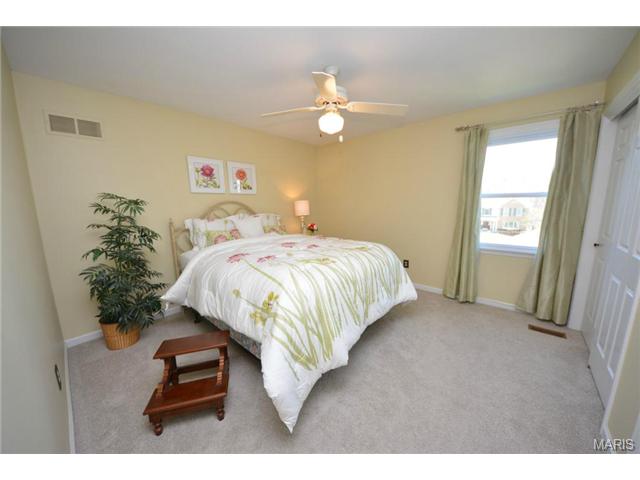 214 Timber Tree Ct, Ballwin, MO 63011 photo 23