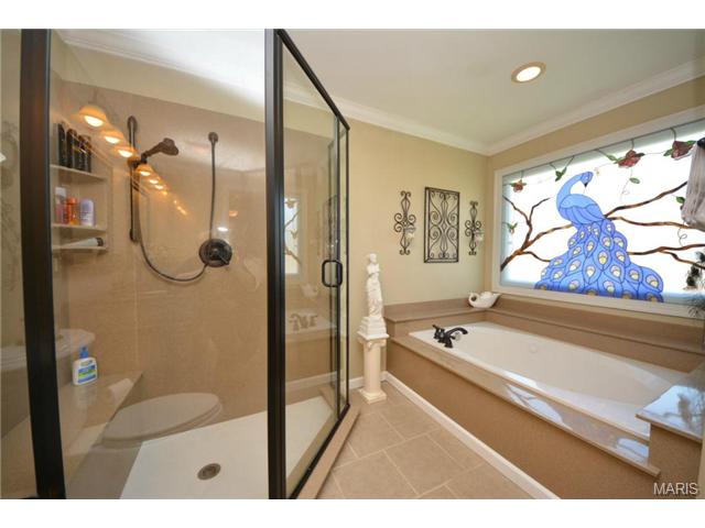 214 Timber Tree Ct, Ballwin, MO 63011 photo 17