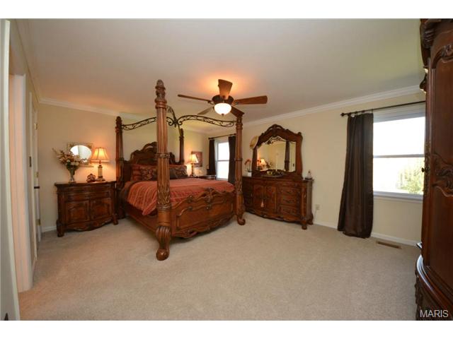 214 Timber Tree Ct, Ballwin, MO 63011 photo 16