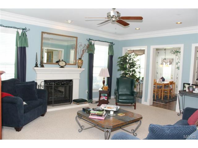 222 Pointe Lucerne Ct, Ballwin, MO 63011 photo 8