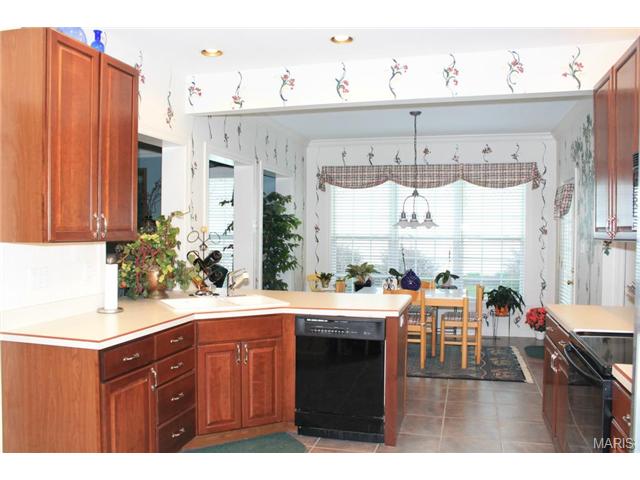 222 Pointe Lucerne Ct, Ballwin, MO 63011 photo 11