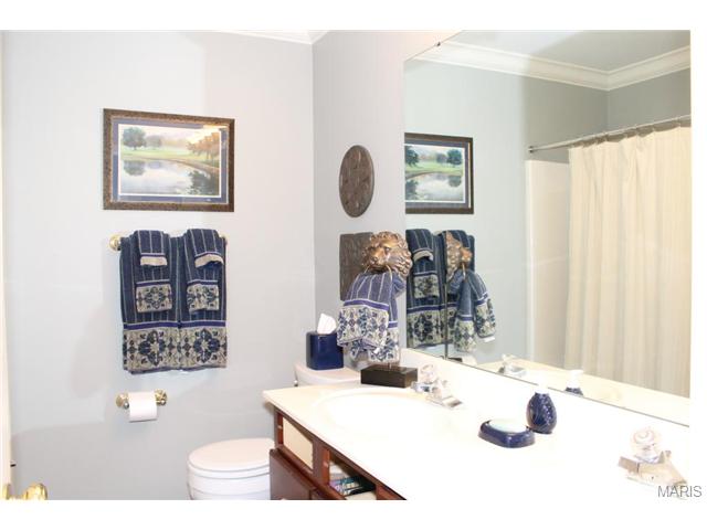222 Pointe Lucerne Ct, Ballwin, MO 63011 photo 24