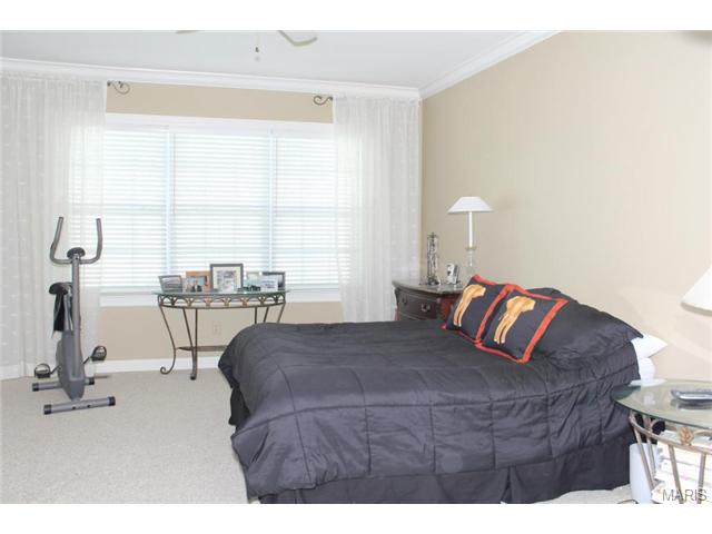 222 Pointe Lucerne Ct, Ballwin, MO 63011 photo 20