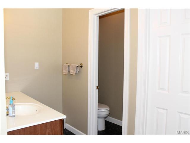 222 Pointe Lucerne Ct, Ballwin, MO 63011 photo 18