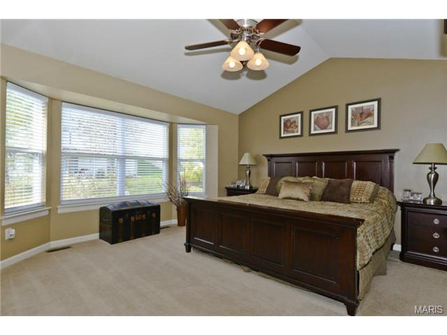 376 Falcon Hill Dr, O'fallon, MO 63368 photo 5