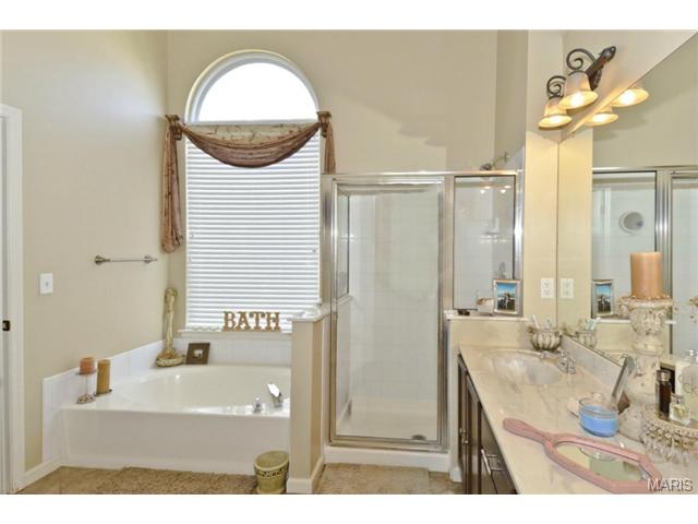 376 Falcon Hill Dr, O'fallon, MO 63368 photo 7