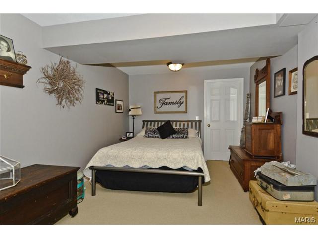 376 Falcon Hill Dr, O'fallon, MO 63368 photo 12