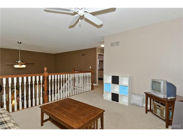 376 Falcon Hill Dr, O'fallon, MO 63368 photo 20