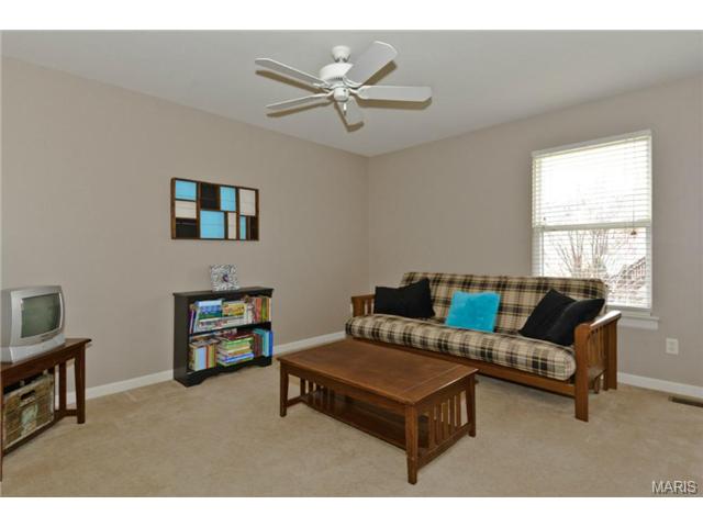 376 Falcon Hill Dr, O'fallon, MO 63368 photo 11