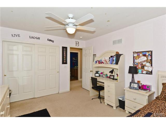 376 Falcon Hill Dr, O'fallon, MO 63368 photo 9