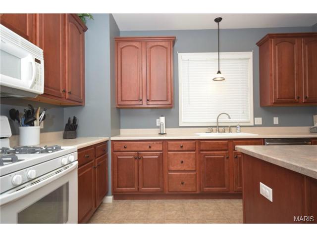 22 Patriarch Ct, Saint Peters, MO 63376 photo 5