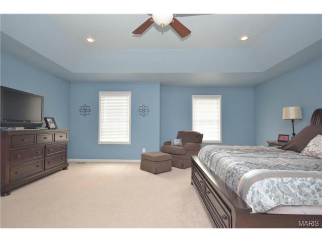 22 Patriarch Ct, Saint Peters, MO 63376 photo 12