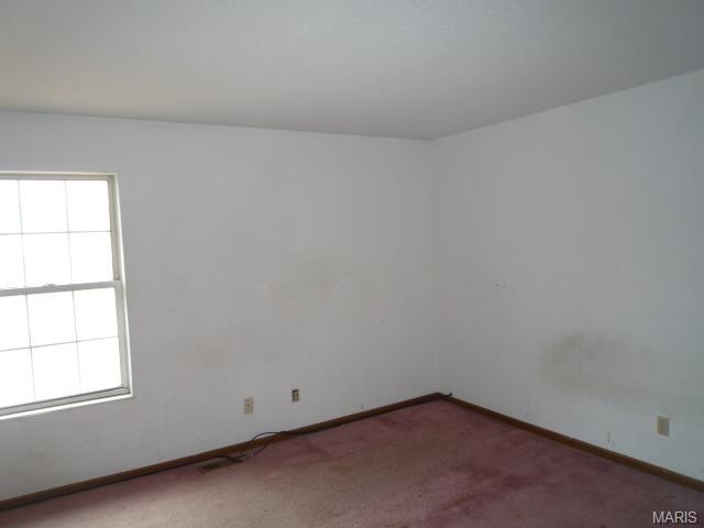 10 Edgemere Ct, Black Jack, MO 63033 photo 13