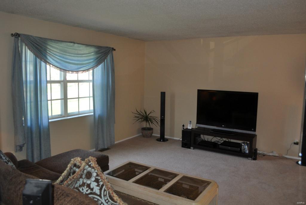 6 Amber Jack Ct, Ballwin, MO 63021 photo 2