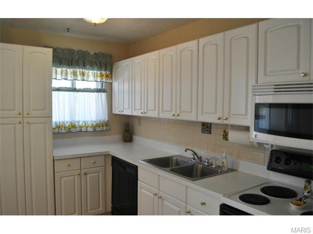 6 Amber Jack Ct, Ballwin, MO 63021 photo 5