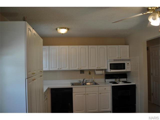6 Amber Jack Ct, Ballwin, MO 63021 photo 6