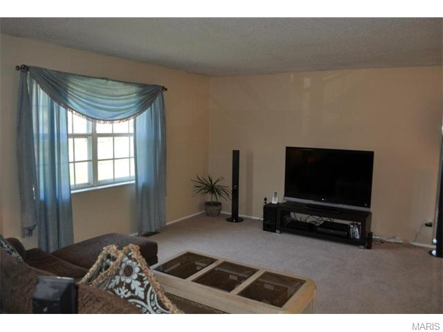 6 Amber Jack Ct, Ballwin, MO 63021 photo 3