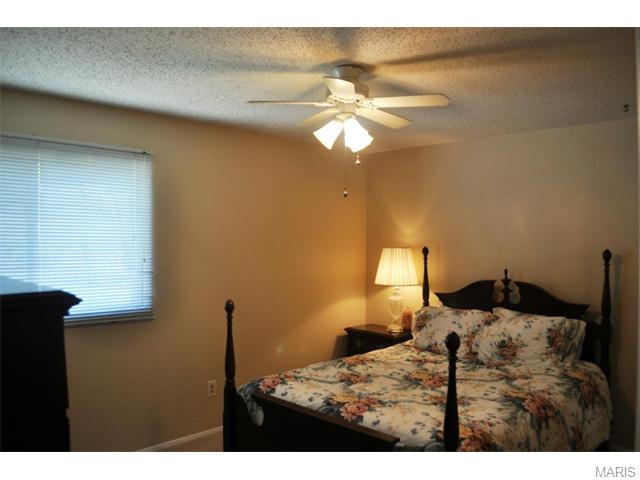 6 Amber Jack Ct, Ballwin, MO 63021 photo 7