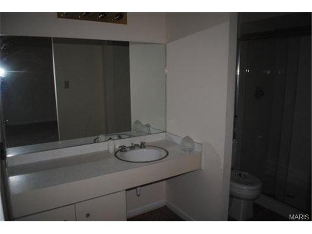 12417 Cape Cod, Saint Louis, MO 63146 photo 15