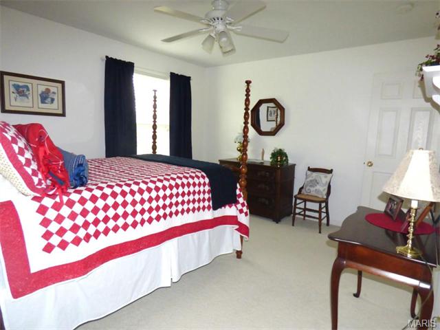7804 Wind Hill Dr, O'fallon, MO 63368 photo 27