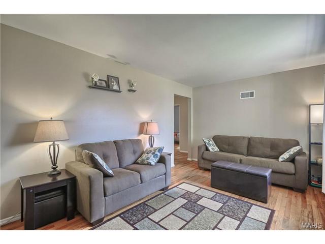 236 Lakeside, Ballwin, MO 63021 photo 3