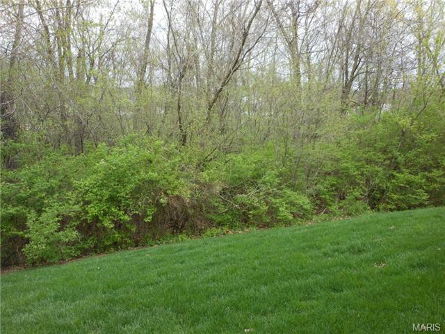 1139 Cypress Point Dr, O'fallon, MO 63366 photo 36