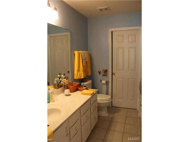 217 Kildare Ct, O'fallon, MO 63366 photo 7