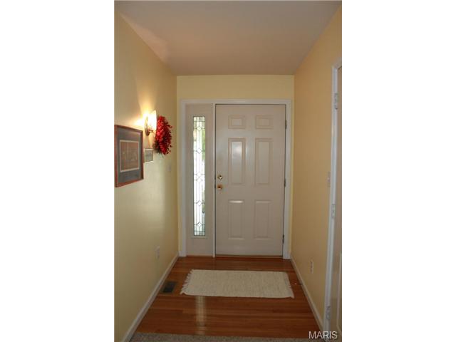 217 Kildare Ct, O'fallon, MO 63366 photo 22
