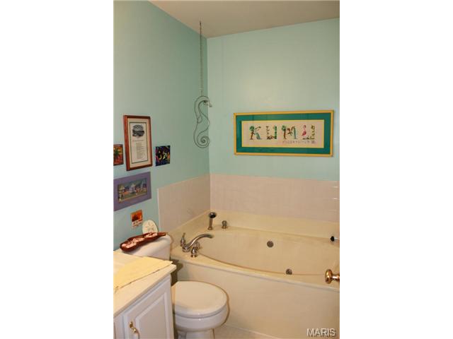 217 Kildare Ct, O'fallon, MO 63366 photo 21
