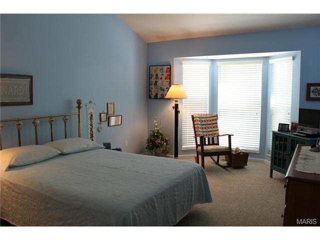 217 Kildare Ct, O'fallon, MO 63366 photo 5