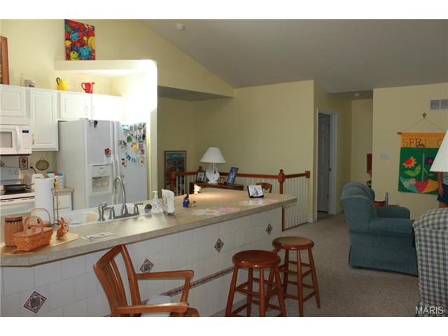 217 Kildare Ct, O'fallon, MO 63366 photo 12
