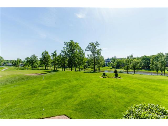 130 Roehampton Ln, Weldon Spring, MO 63304 photo 53