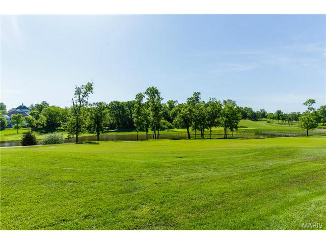 130 Roehampton Ln, Weldon Spring, MO 63304 photo 66