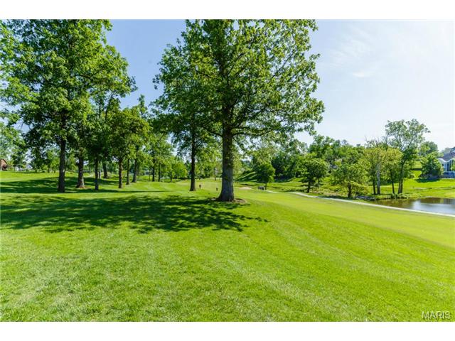 130 Roehampton Ln, Weldon Spring, MO 63304 photo 67