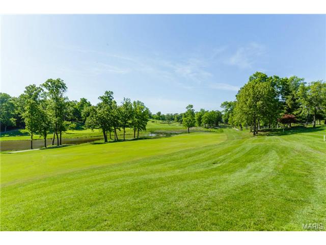 130 Roehampton Ln, Weldon Spring, MO 63304 photo 68