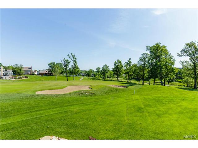130 Roehampton Ln, Weldon Spring, MO 63304 photo 54